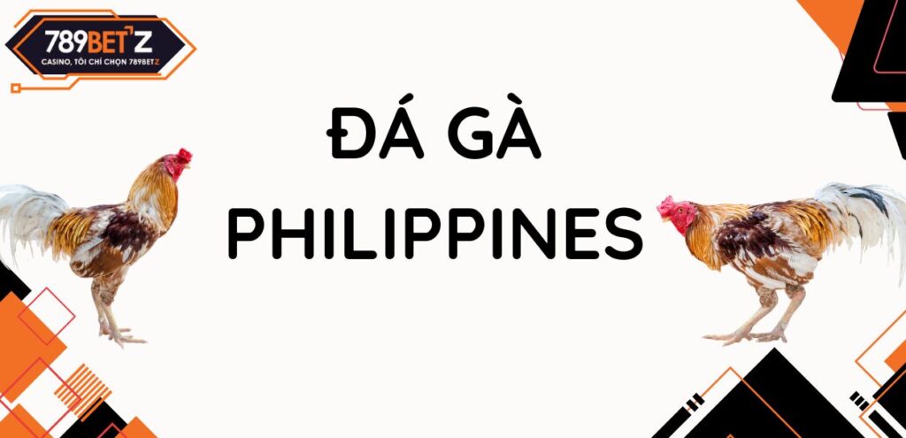 Sảnh đá gà Philippines - Thế giới đá gà máu lửa