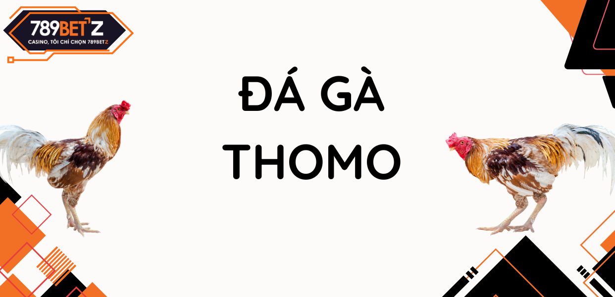 Đá gà Thomo, Campuchia - Đấu trường đá gà huyền thoại